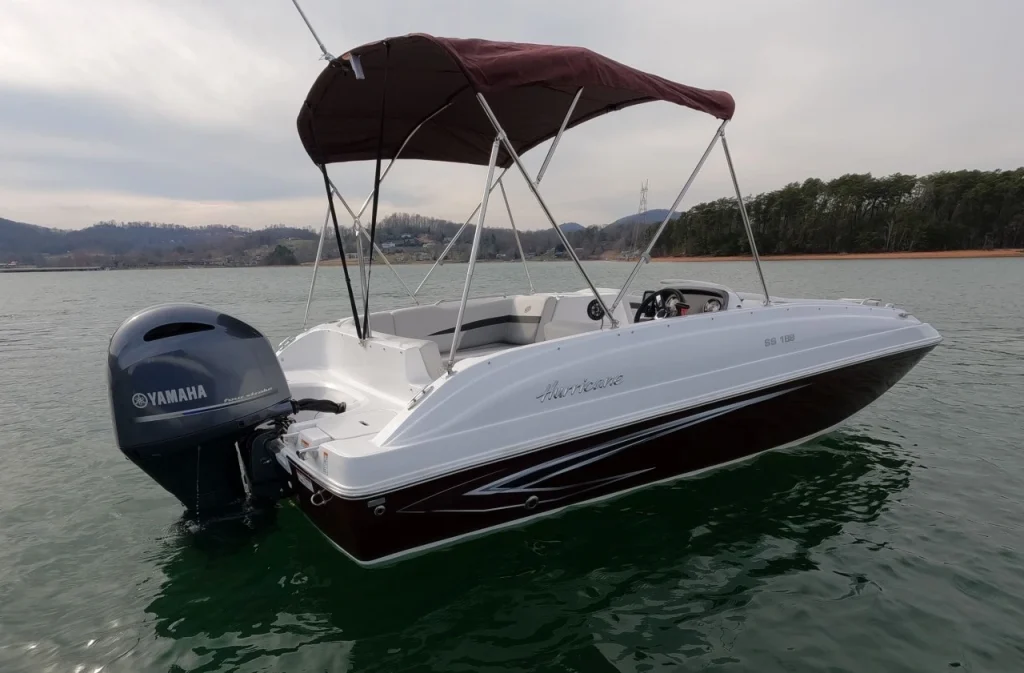 a pontoon boat with a ladder for fun on Lake Chatuge at Young Harris Watersports & RV